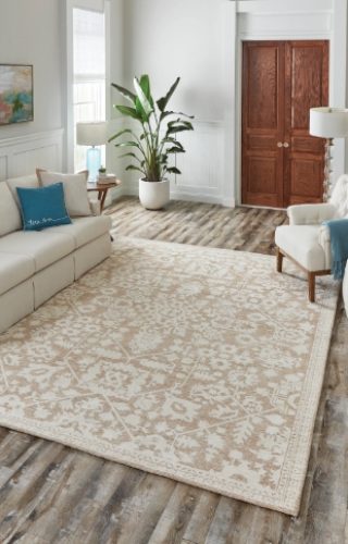 Allen And Roth Area Rugs1