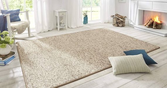 Allen And Roth Area Rugs4