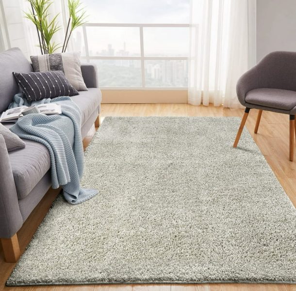 Allen And Roth Area Rugs5