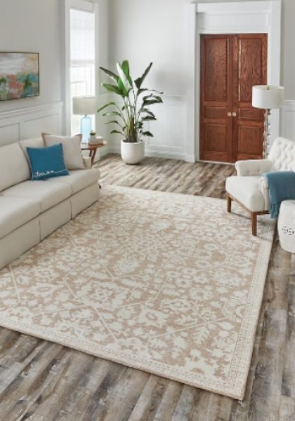 Allen And Roth Rugs01