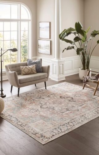 Allen And Roth Rugs02