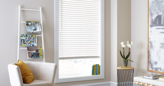 Allen and Roth Blinds01