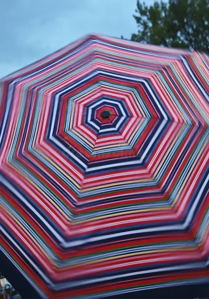 Allen and Roth Umbrella06