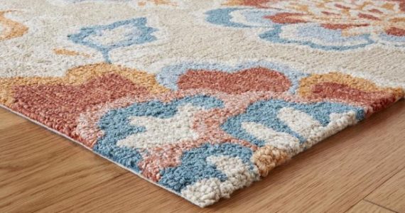 Allen and roth carpets4